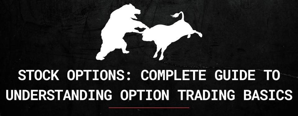 Stock Options: Complete Guide to Understanding Option Trading Basics