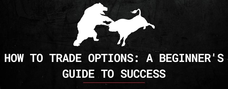 How to Trade Options: A Beginner’s Guide to Success