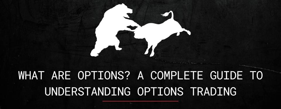 What Are Options? A Complete Guide to Understanding Options Trading